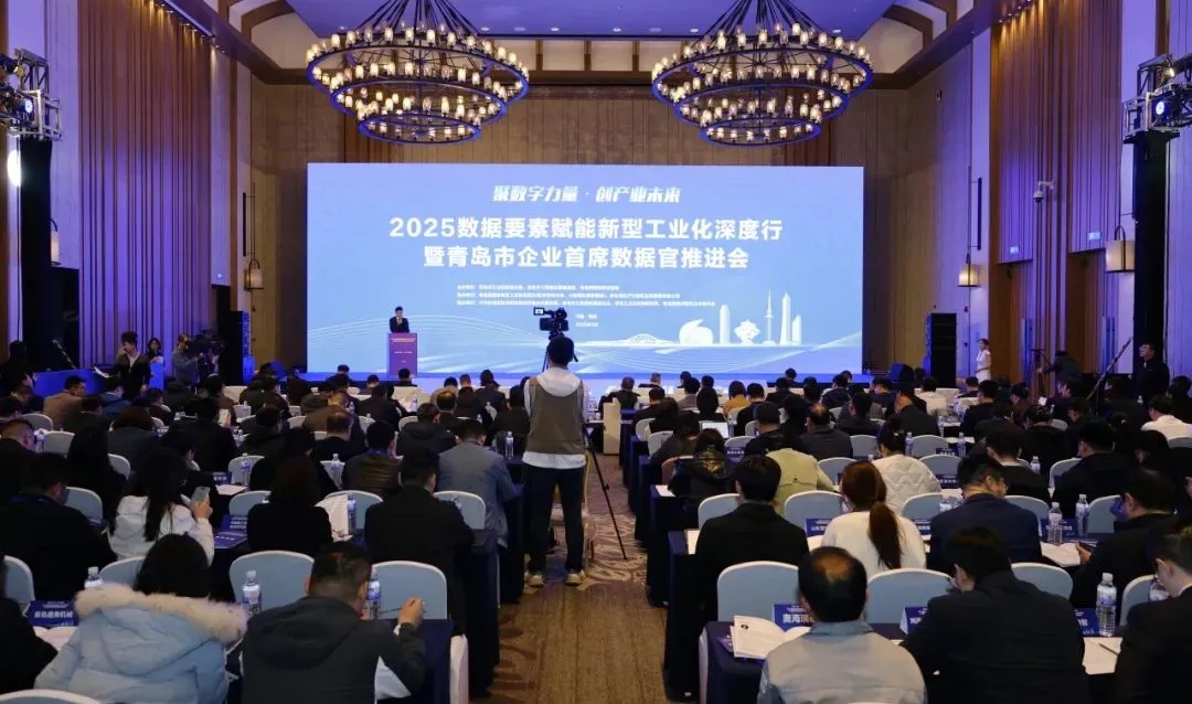 太阳集团tyc4633入选新区首批首席数据官创新试点企业